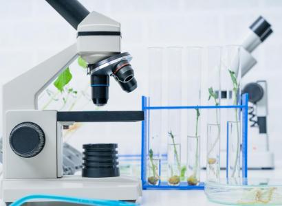 Генетическую селекцию животных и растений намерены разработать в Сириусе