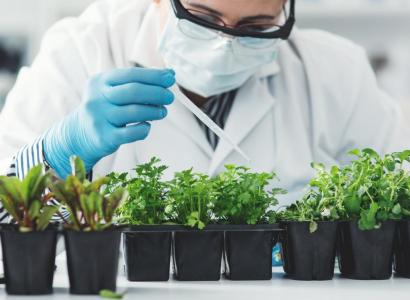 В лабораториях университетов Сибири создают биопрепараты для сельского хозяйства