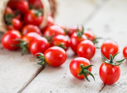 Алтайские ученые создали новый сорт томатов