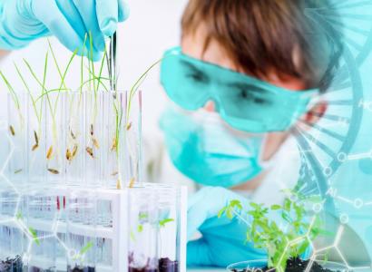 В агросекторе РФ с 2026 года можно будет получить субсидии на научные проекты