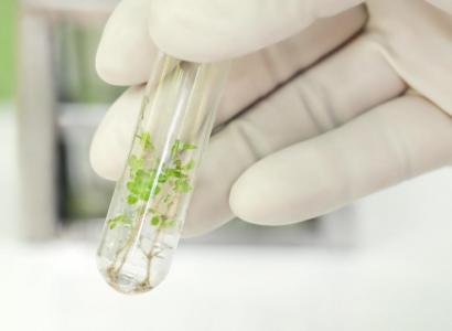 Минсельхоз России проведет отбор проектов для участия в ФНТП