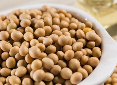 Россия и Китай договорились о создании в 2026 году селекционно-генетического центра по сое