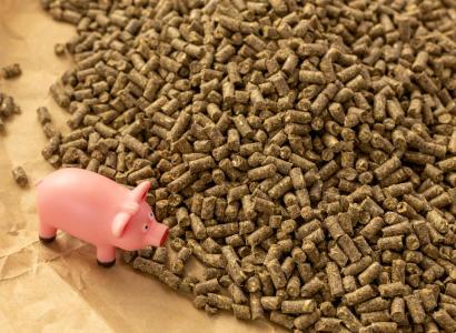 В России создали натуральные ферментированные корма для ускорения роста скота