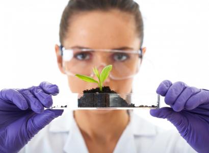 Фитотроны и климатические камеры компании «Август» позволят ускорить государственные сортоиспытания