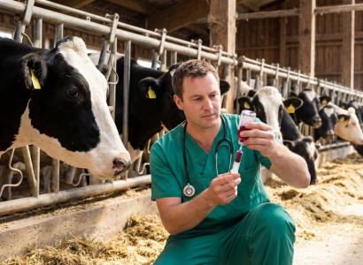 Более 100 российских ветпрепаратов введено в оборот в 2025 году