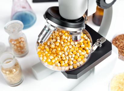 В Курской области запустили семенной завод 