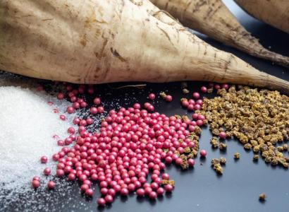 На Ставрополье увеличилась доля семян сахарной свеклы отечественной селекции