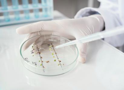 Путину представили проект генетического дизайна сельхозкультур