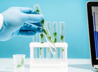 Нацпроект по технологическому обеспечению продбезопасности стимулирует развитие аграрной науки и технологий — Минсельхоз