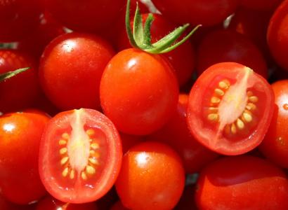 В 2026 году в Подмосковье начнет работу первый в России селекционно-семеноводческий центр по производству семян томатов