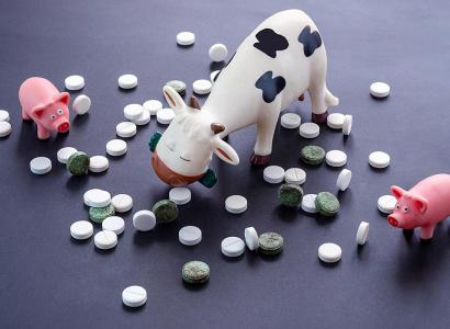 Доля отечественных ветпрепаратов в обороте в РФ достигла 78%