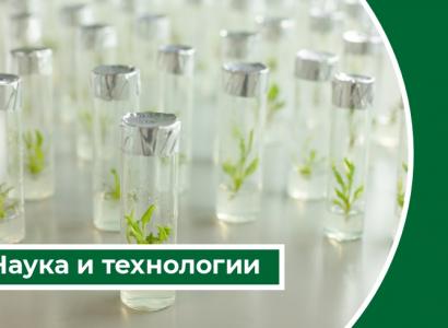 Дайджест «Наука и технологии»: платформа ускоренной селекции гибридов рапса и овощей появится в России к 2027 году