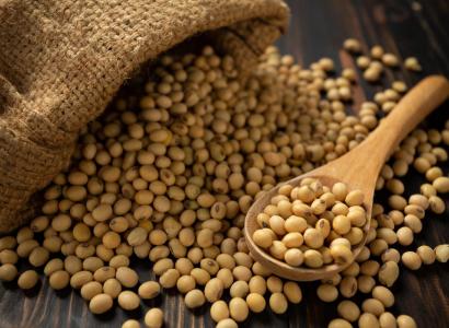 В Орловской области планируется строительство крупного селекционного центра