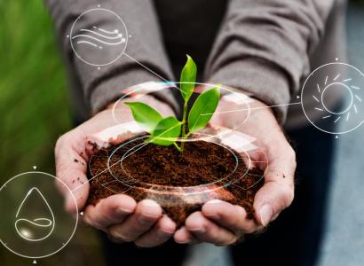 В Тимирязевской академии создали цифровую платформу для прогнозирования свойств растений