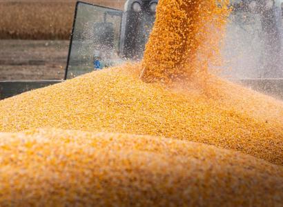 Экспорт агротехнологий вырос примерно на треть — Минсельхоз 