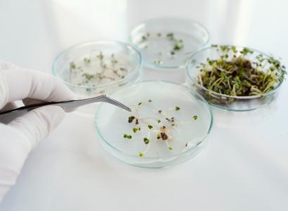 Инновации становятся драйвером развития АПК — Минсельхоз