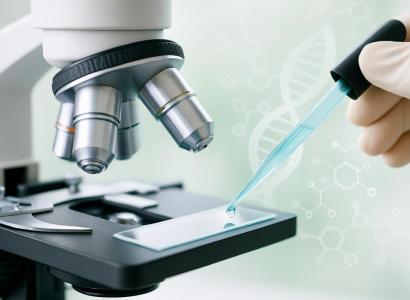 В России ученые впервые получили эмбрионы якутского скота