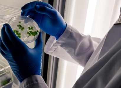 На Кубани появился биоресурсный центр микроорганизмов для сельского хозяйства