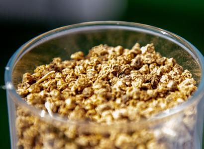 Доля отечественных семян в АПК РФ в 2025 году достигла 69,3%