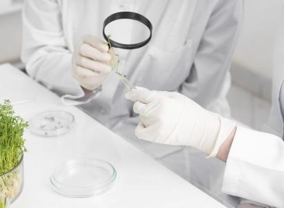 Россия и Бразилия развивают научно-техническое взаимодействие в АПК