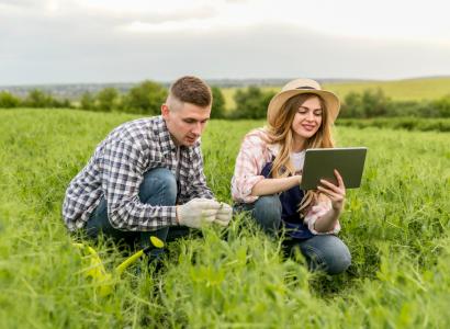 Для сибирских аграриев запустят цифровую платформу с данными о новых сортах растений