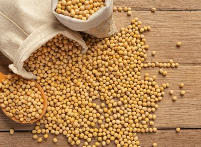 В Тамбовской области завершается строительство нового семенного завода 