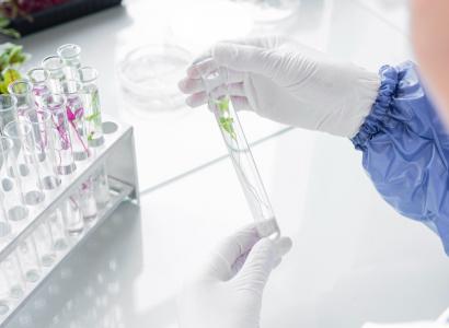 Россия и Китай расширяют сотрудничество в области селекции и семеноводства