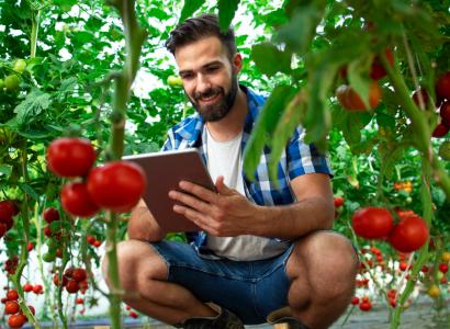 В России создали цифровую копию профессора-селекционера для консультации аграриев