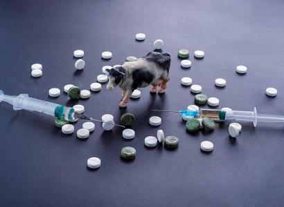 Путин поручил объединить пять казенных ветбиофабрик в НПО