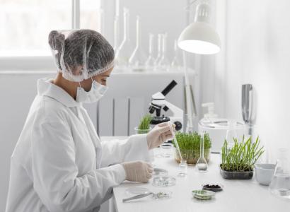 Нацпроект «Технологическое обеспечение продовольственной безопасности» увеличит выпуск продукции сельского хозяйства