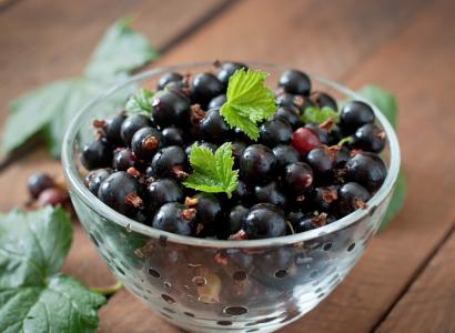 В России вывели 100 новых сортов ягод за последние 5 лет