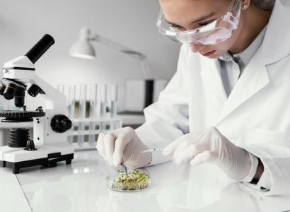 Минсельхоз намерен сократить сроки создания новых сортов и гибридов растений до двух-трех лет