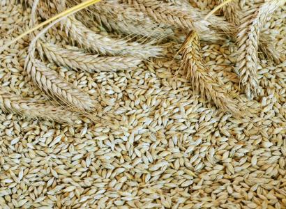 Экспорт российских агротехнологий с начала года вырос на 6%