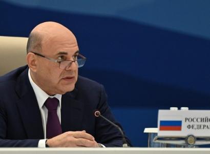 Мишустин призвал развивать производство ветпрепаратов в ЕАЭС