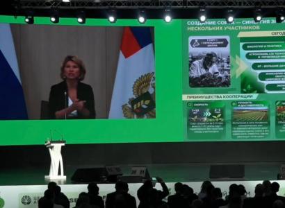 Лут: кооперация — ключевой фактор дальнейшего развития отечественной селекции и семеноводства