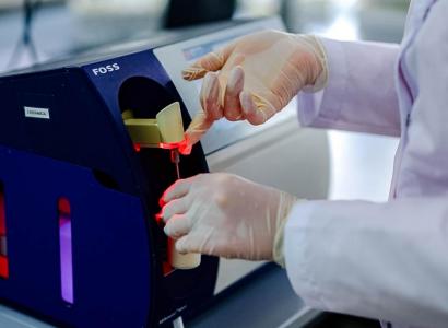 Ученые Ставропольского ГАУ создали тест-системы для генетического контроля КРС 