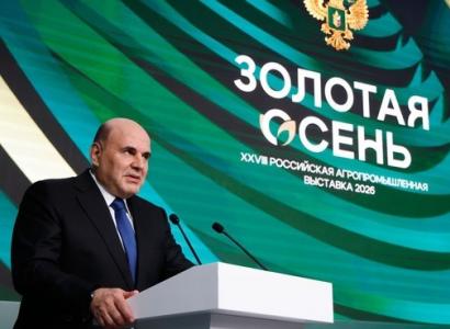 Показатель самообеспеченности семенами составляет почти 70% — Мишустин